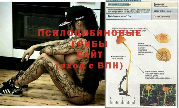 скорость Новодвинск