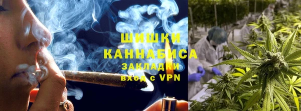трава Новокубанск