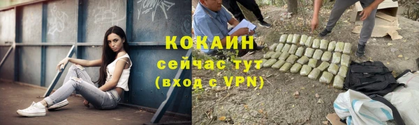 спайс Новозыбков